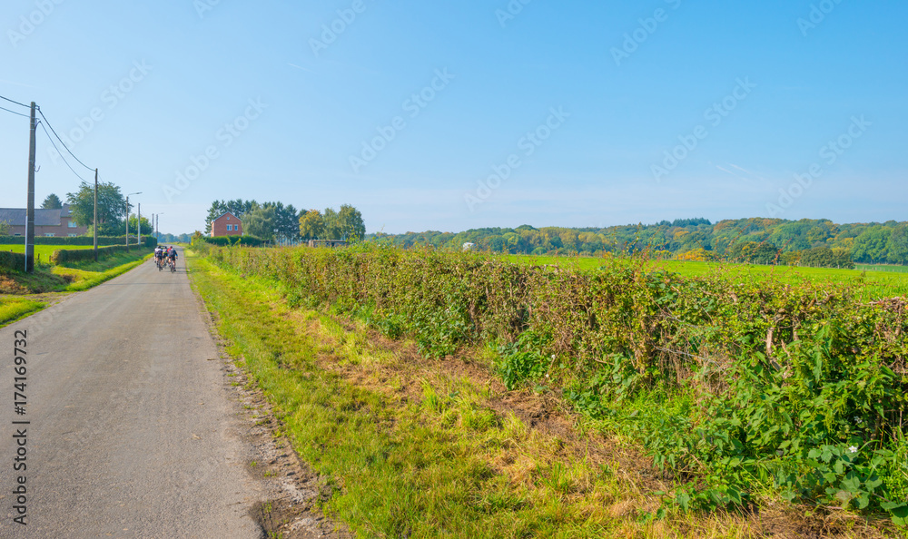 Cyclers racing on a road through the countryside in autumn