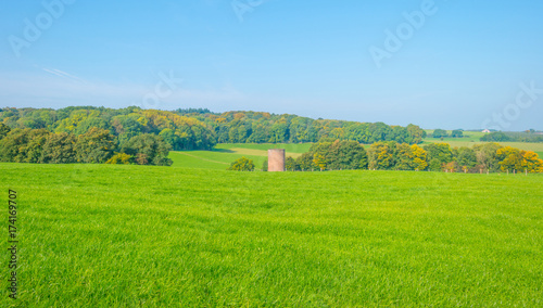 Panorama of a field on a hill in sunlight at fall