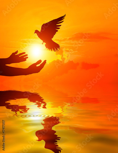 Silhouette of one hand desire to Dove fly and water reflection on sunset time