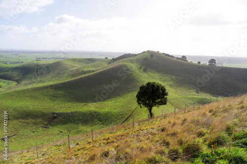 Rounded hills red rocks Camperdown photo