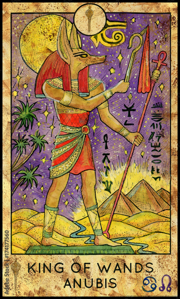Anubis. Minor Arcana Tarot Card. King of Wands Stock Illustration | Adobe  Stock