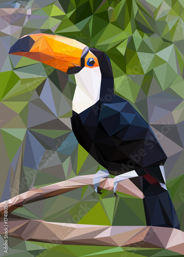 Toucan Low Poly