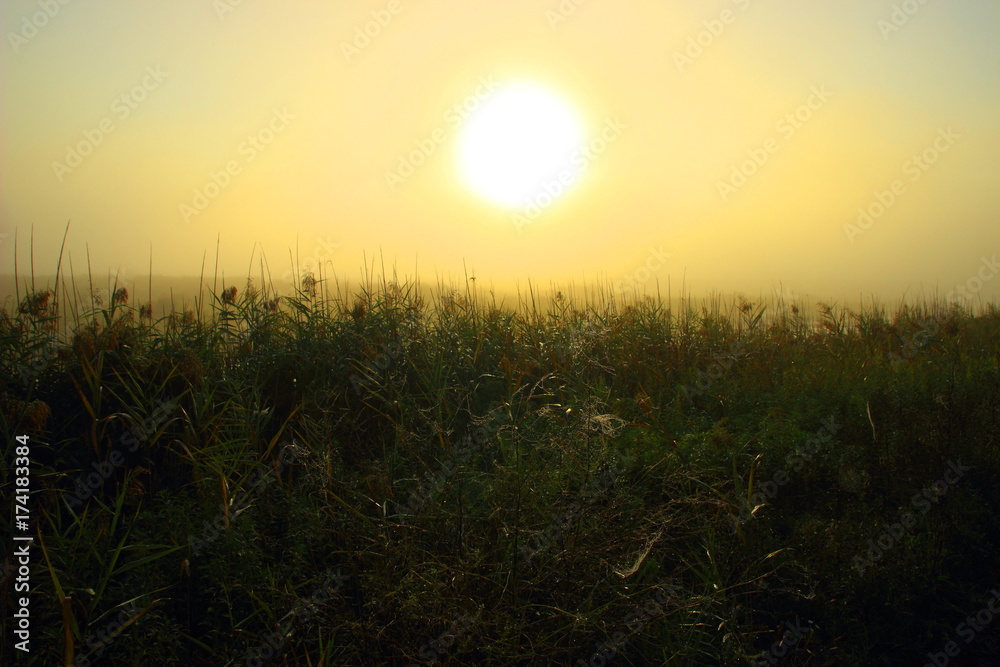 Morning light, foggy landscape