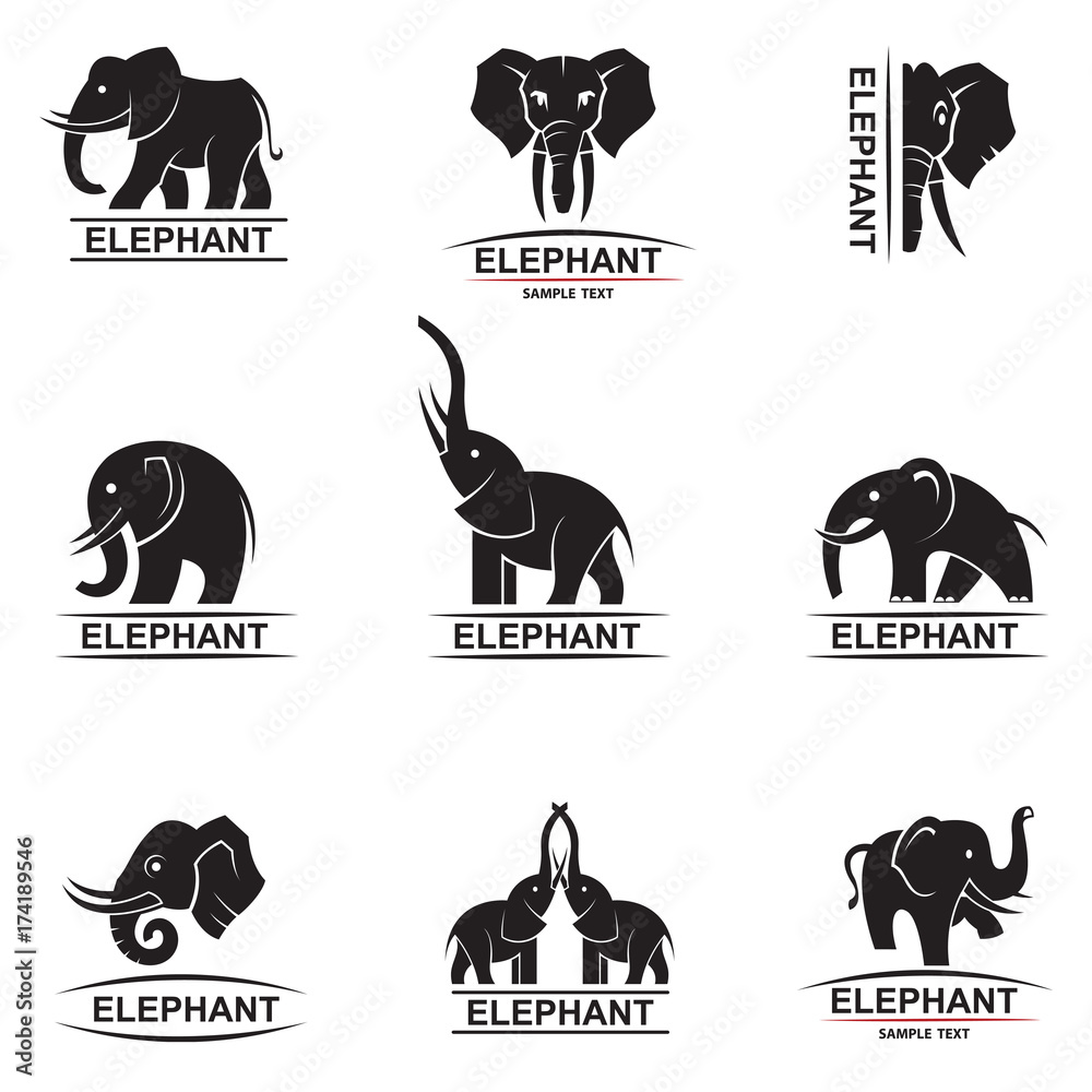 Obraz premium monochrome collection of elephant logos