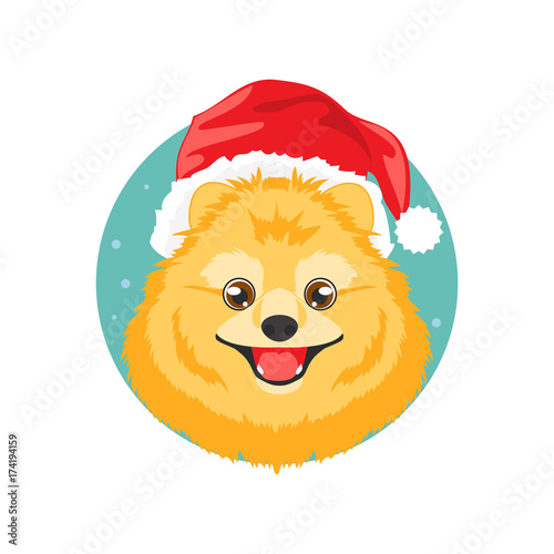 Christmas dog