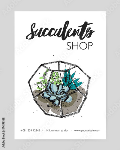 Minimalistic flyer template with green succulents growing in glass geometric florarium hand drawn on white background. Indoor plant decoration. Vector illustration for florist shop advertisement.