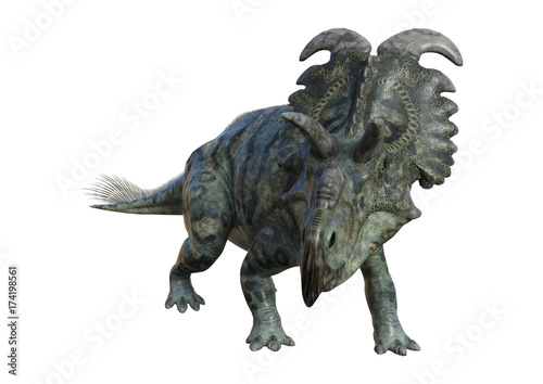 3D Rendering Dinosaur Albertaceratops on White © photosvac