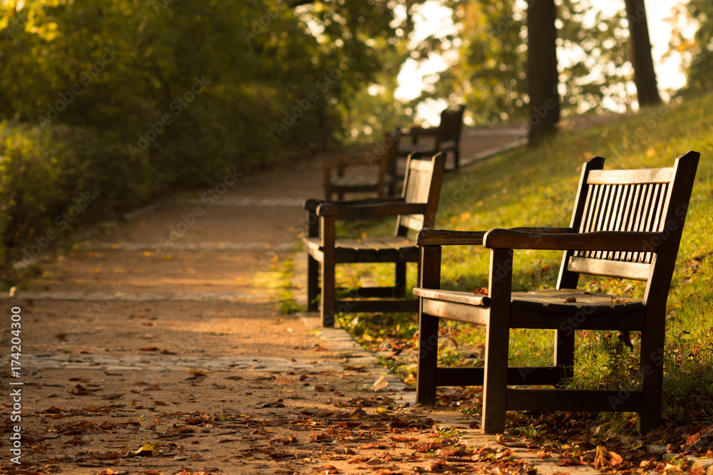 Autumn road with benches in the city park at sunrise. Brno czech republic.