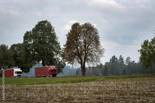 two red trucks running along a small road between fields and trees