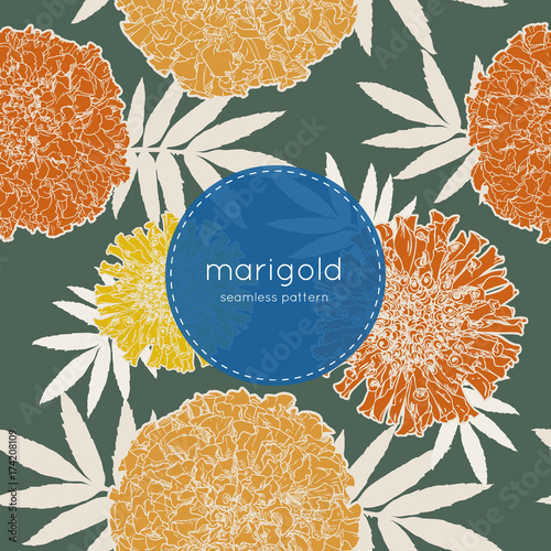 orange marigolds , hand draw sketch vector.