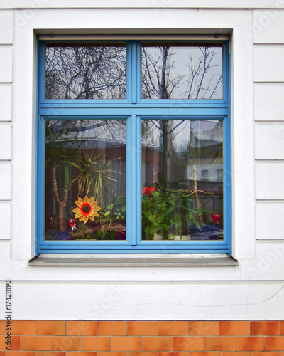 Berlin Germany   blue frame window with fake sunflower