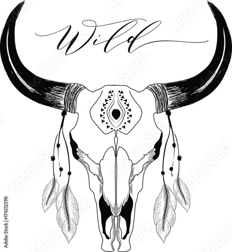 Bohemian Bull  Skull with feathers