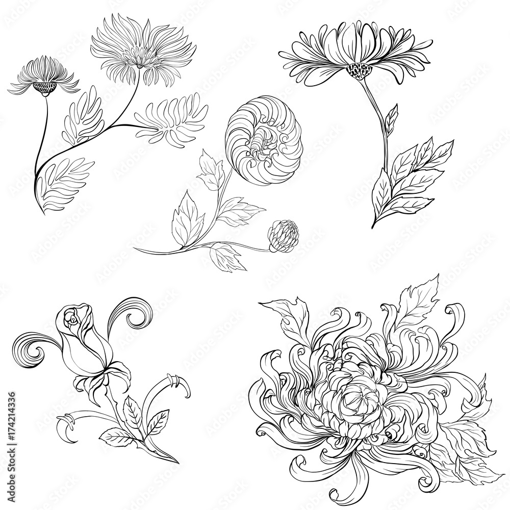 Flowers. Set of vector images. Abstract wallpaper with floral motifs.  Wallpaper.  Use printed materials, signs, posters, postcards, packaging.