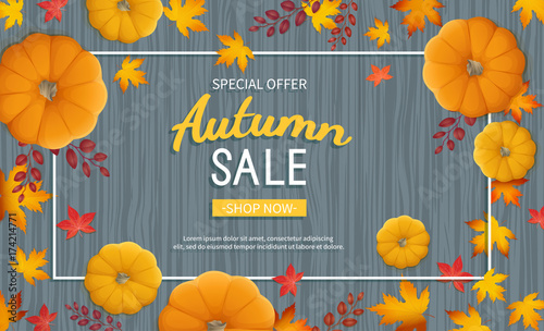 Autumn sale banner. Horizontal  background with pumpkin, leaves at rectangular frame on a wooden table. Special seasonal discount offer.  Vector illustration. Top view