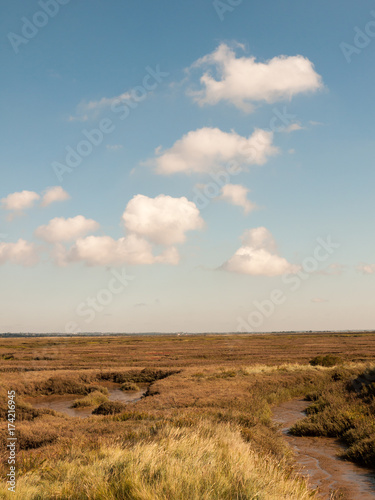 open marshland landscape scene with blue skies, clouds, and grass
