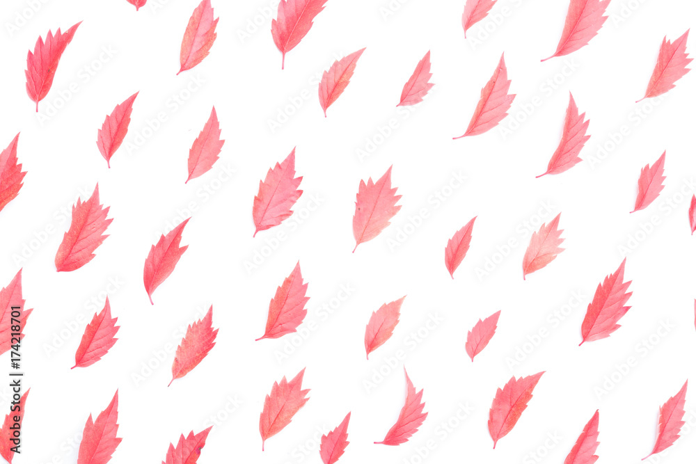 Autumn floral background Autumn floral background