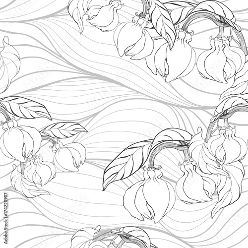Flowers and leaves of ylang-ylang - vector Image medicinal, perfumery and cosmetic plants.  Abstract wallpaper with floral motifs.  Use printed materials, signs, posters, postcards, packaging.