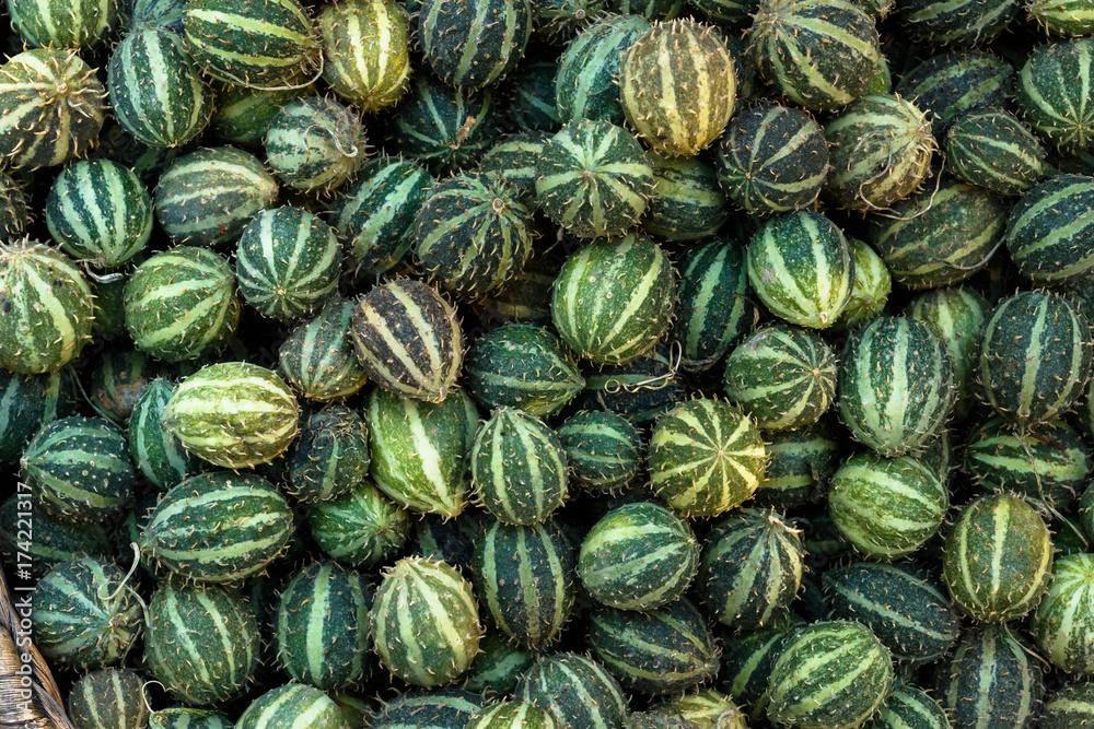 Exotic cucumbers. African wild cucumber Cucumis africanus tropical plant. Background of amazing