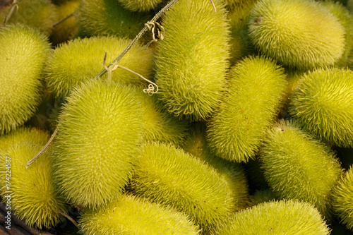 Exotic cucumbers. African wild cucumber Cucumis africanus tropical plant. Background of amazing wild cucumbers photo
