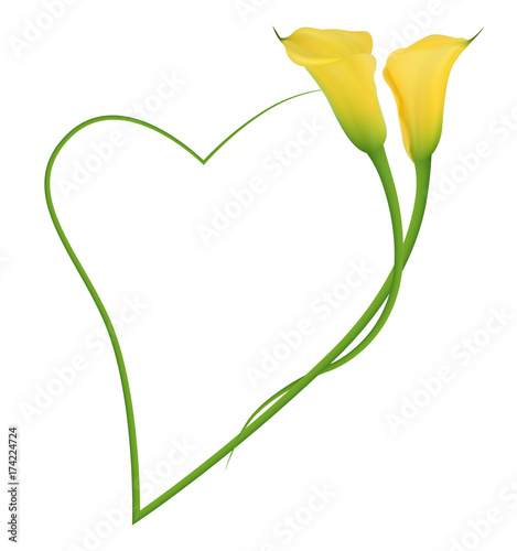 Realistic yellow calla lily romantic frame, heart. The symbol of Beauty and Grace.