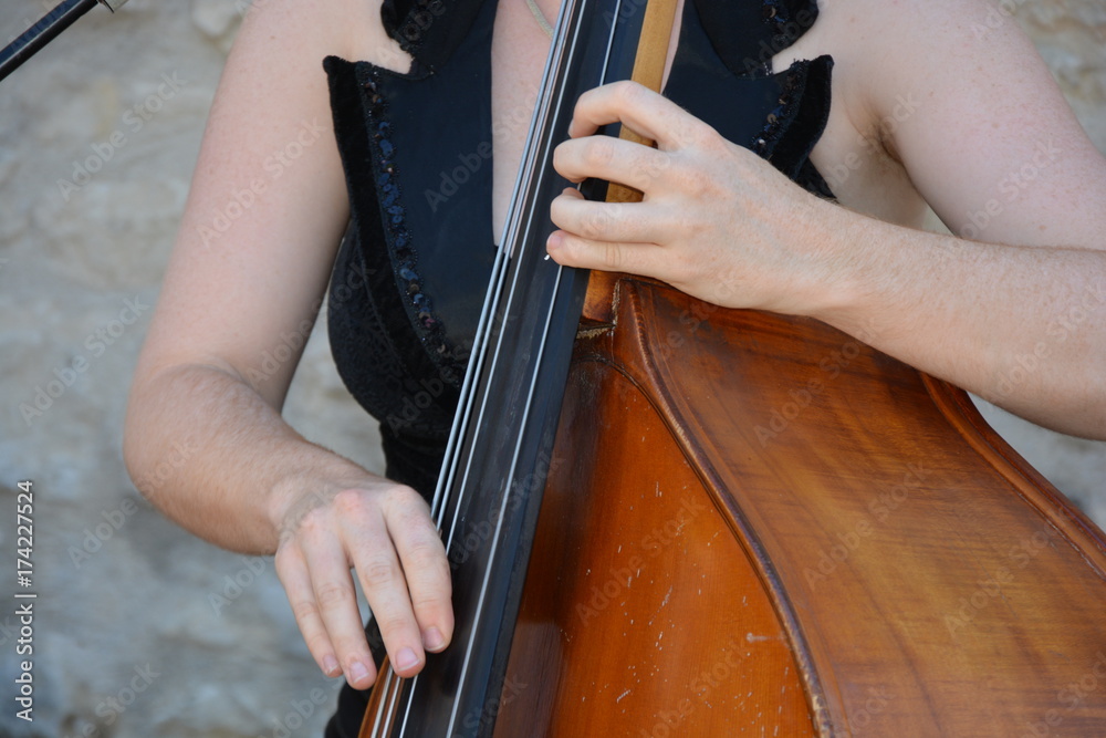 A Stringed music instrument A Stringed music instrument