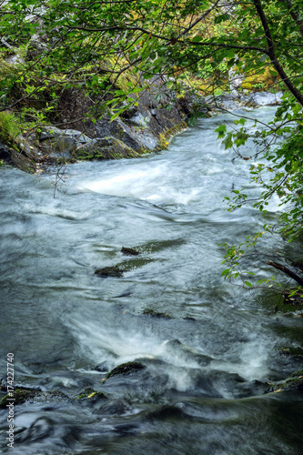 Beautiful stream of water, waterfall, stones, green grass