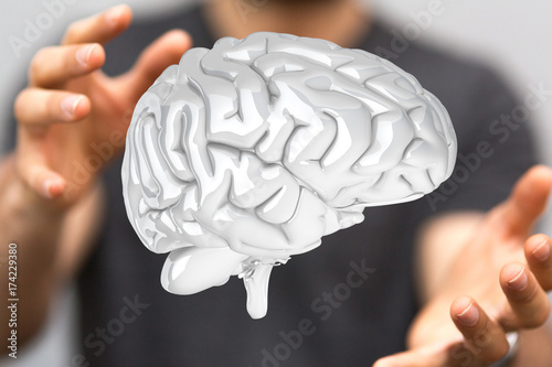 brain