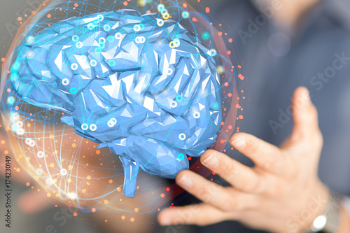 brain