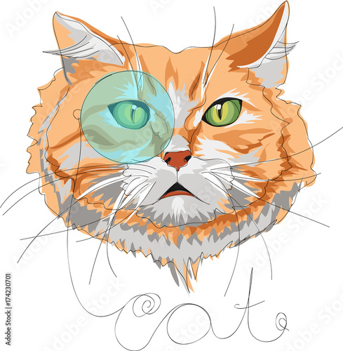 cat with a monocle
