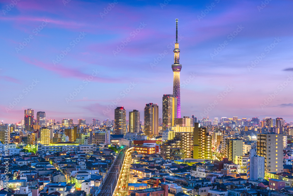 Obraz premium Tokyo, Japan Cityscape