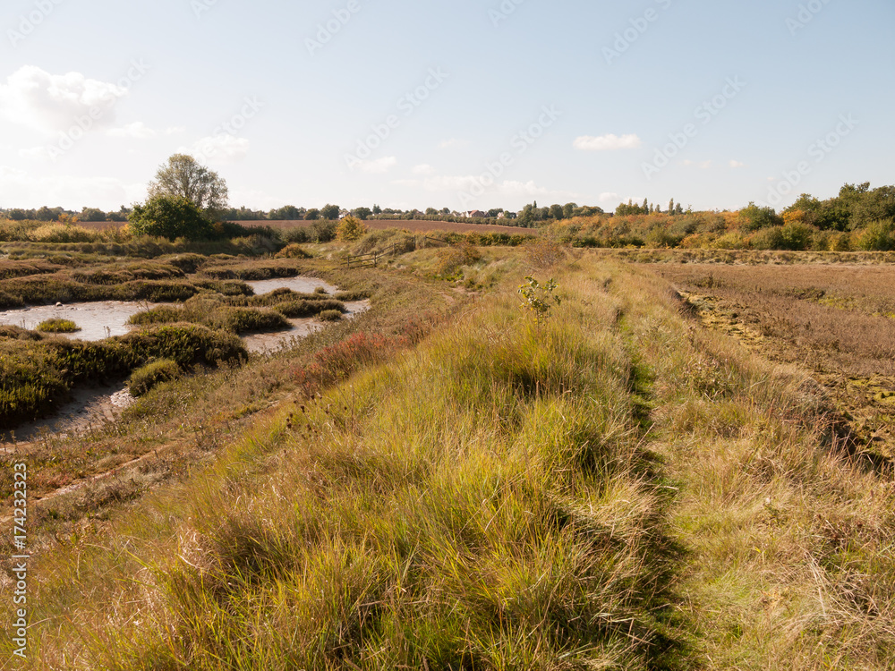 open marshland landscape scene with blue skies, clouds, and grass open marshland landscape scene with blue skies, clouds, and grass