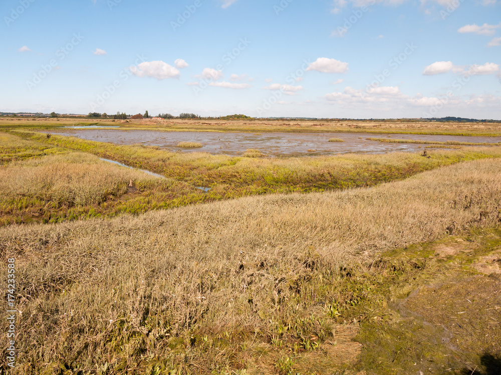Fototapeta premium landscape scene view grassland outside marsh land