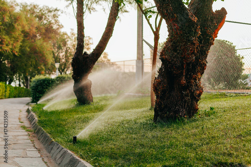 automatic drip irrigation system irrigate the hotel territory.