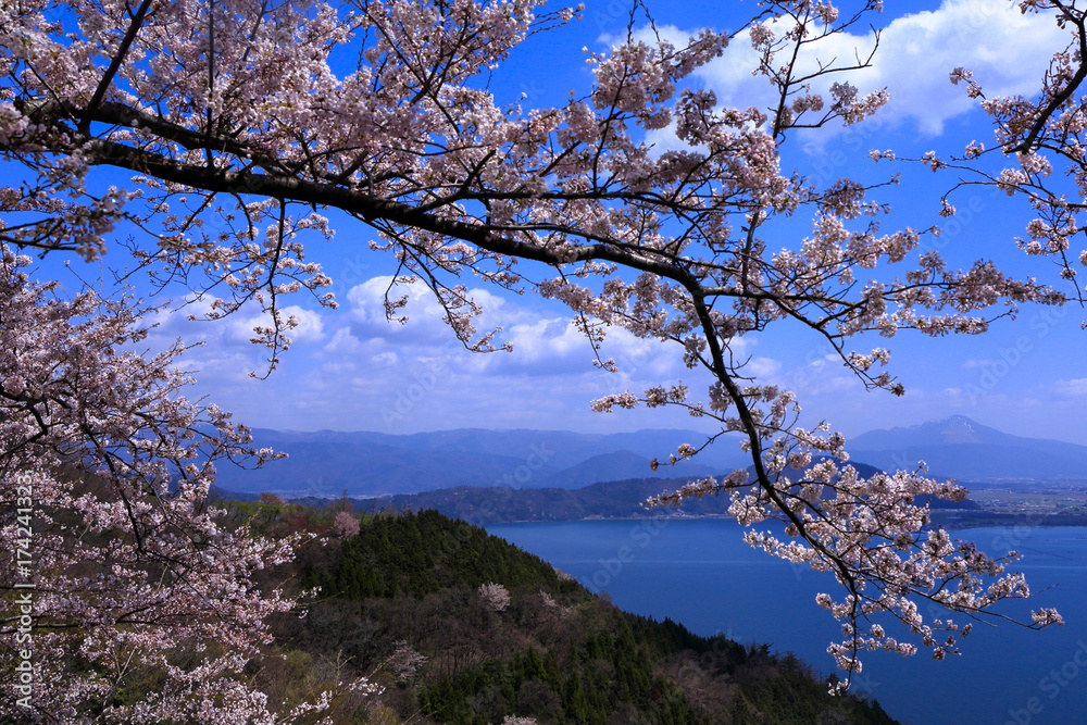 Biwa Lake and cherry in Shiga prefecture Biwa Lake and cherry in Shiga prefecture
