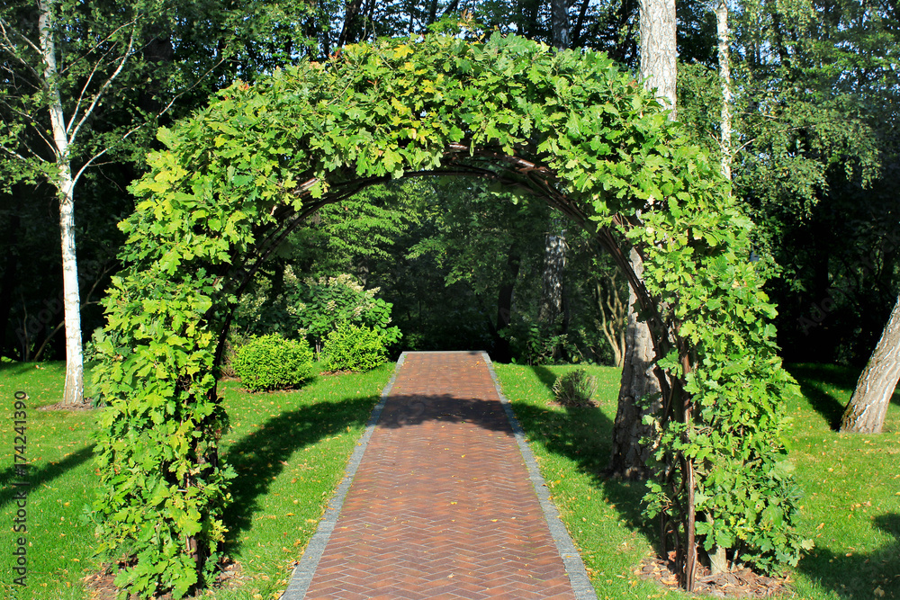 Garden arch made of intertwined oak branches