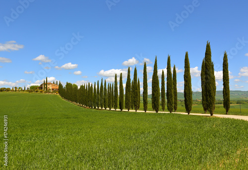 farmhouse and cypresses in Tuscany