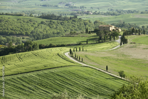 Tuscany farmland hill fields in Italy