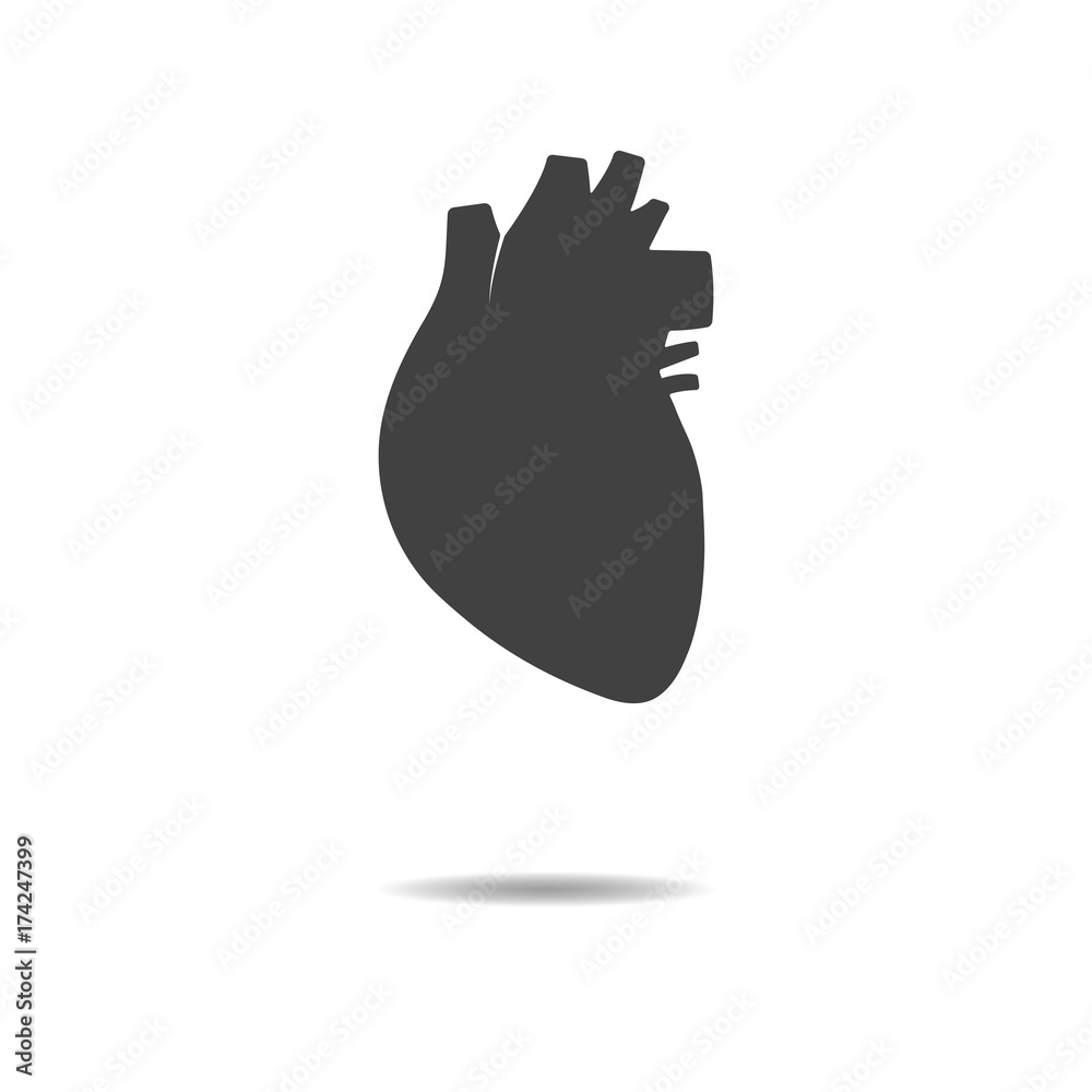 Human heart icon - simple flat design isolated on white background ...