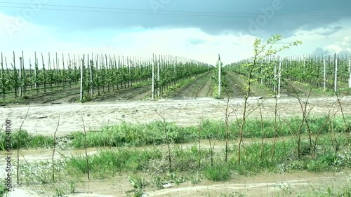 Waterflood bypassing vineland after rain photo