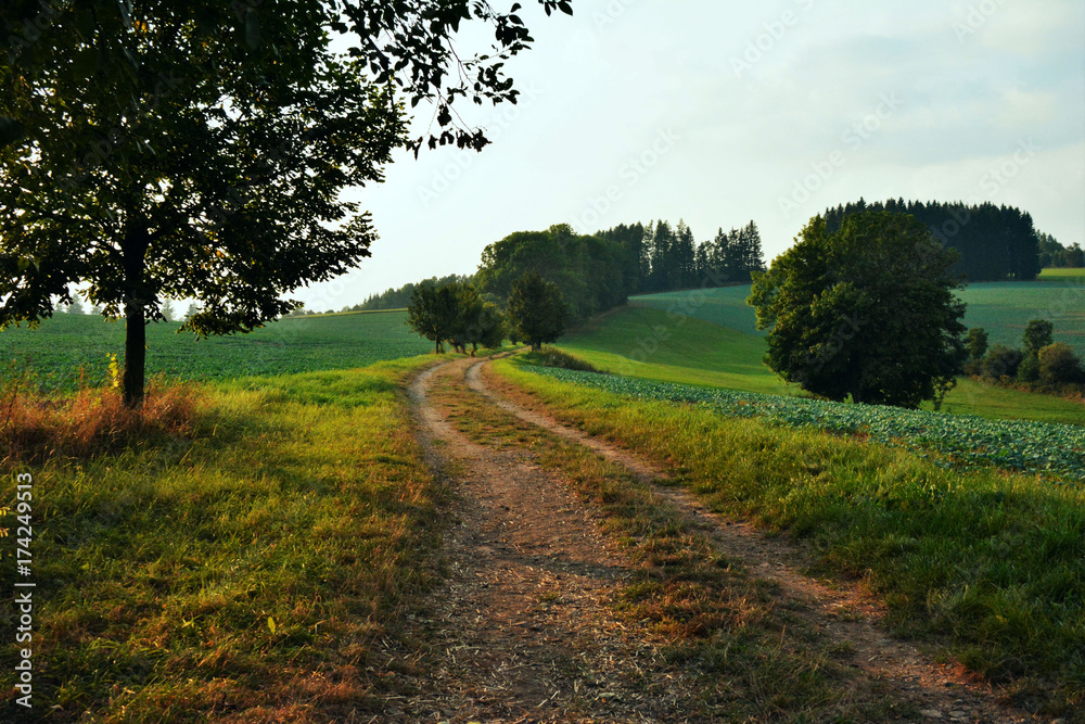 The path between the fields The path between the fields