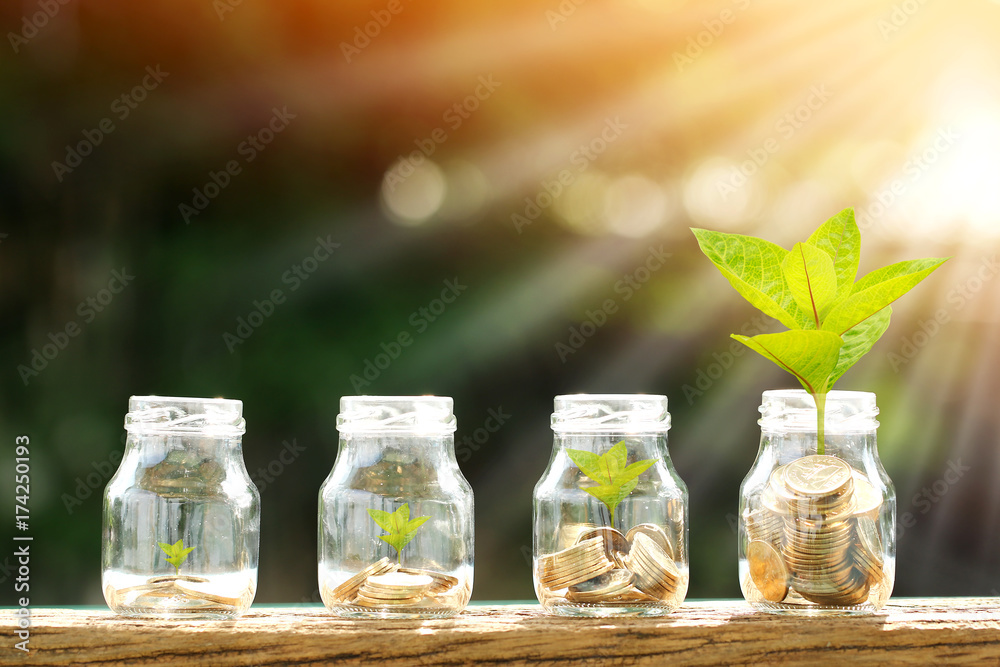 Φωτογραφία Coin in the bottle and plant growing with savings money put on the wood in the morning sunlight, Business investment and saving growth concept