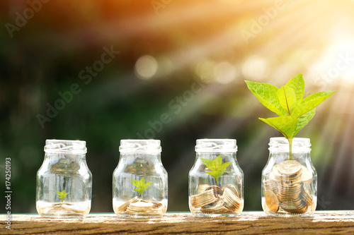 Coin in the bottle and plant growing with savings money put on the wood in the morning sunlight, Business investment and saving growth concept. photo