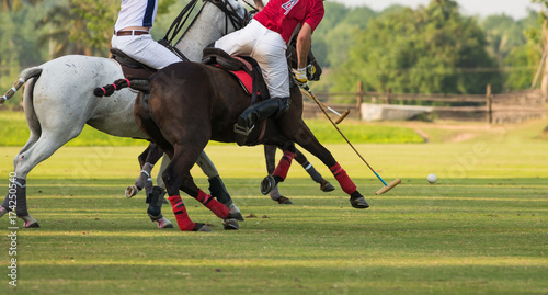 Horse polo Ball is floating