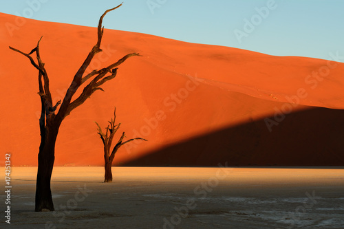 deadvlei