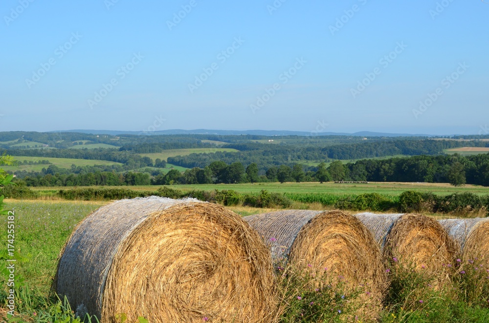 Hay bales in the field on the farms and hills of upstate New York in summer