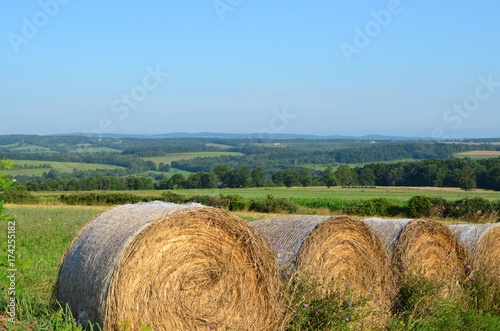 Hay bales in the field on the farms and hills of upstate New York in summer