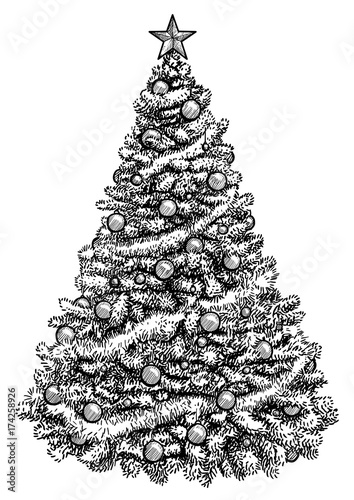 Christmas tree illustration, drawing, engraving, ink, line art, vector