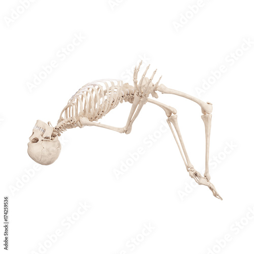 3d rendered medically accurate illustration of a skeleton highjumping