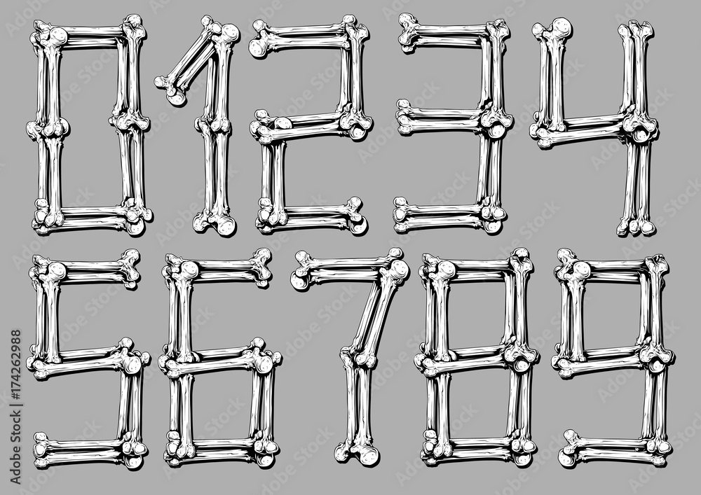 Graphic white realistic bones numbers vector set Graphic white realistic bones numbers vector set