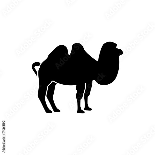 Camel black icon .